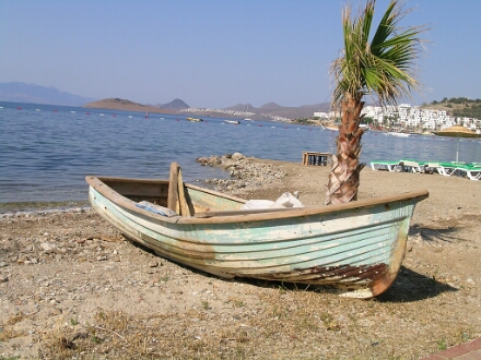 DSCN0076
