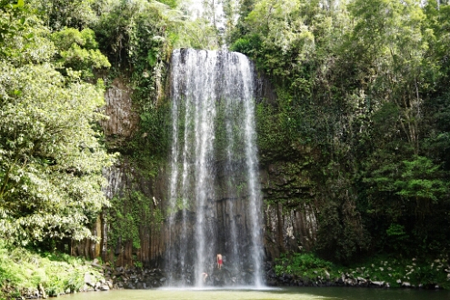 DSC02009 De Millaa Millaa waterval.