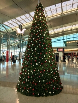FullSizeR 31-10-2016, vroege Kerst op de Airport van Sydney.